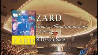 ZARD  "What a beautiful memory ～forever you～" TV-SPOT
