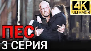 Сериал ПЕС - 3 серия - 1 сезон - Все серии подряд - Смотреть онлайн в хорошем качестве | 4К