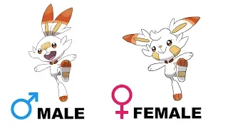 GALARIAN Pokemon Gender Difference Fanart | Pokemon Sword & Shield Fanart