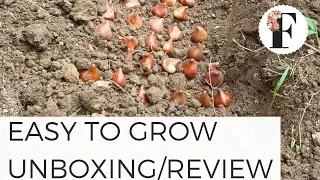 Easy to Grow Bulbs Order Review + Unboxing - Cut Flower Farm Gardening for Beginners Growing Flowers