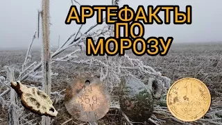 Копаем артефакты по морозу.Коп 2017.Minelab safari.