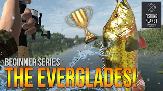 [Lvl.27] Peacock's and Largemouth's in the EVERGLADES! | Fishing Planet