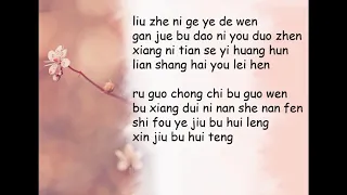 Broken Hearted Woman Lyrics Video - Faye Wong
