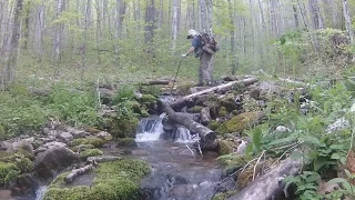 Fishing the Remote Raven Fork River, Great Smoky Mntn NP