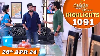 Anbe Vaa Serial | EP 1091 Highlights |26th April 24 | Virat | Shree Gopika | Saregama TV Shows Tamil