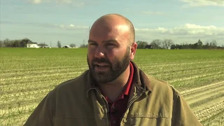 Vidalia Onion Crop Nears Harvest Despite Weather Delays, Rainfall