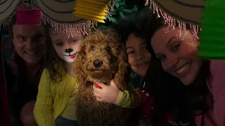 Waffle's Birthday! | Waffle the Wonderdog | Live Action Videos for Kids | WildBrain Zigzag