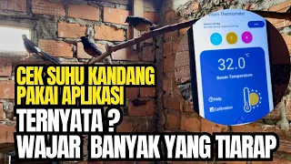 CEK SUHU KANDANG TERNAK PAKAI APLIKASI . TERNYATA PANAS LUUR