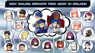 【FGO】What Chaldea Servants think about Cu Chulainn (ALL)