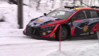 Ott Tänak pet Hyundai i20 N rally 1 for rally Sweden 2024.