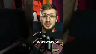 Взрослая шутка в детском мультике Зверополис!