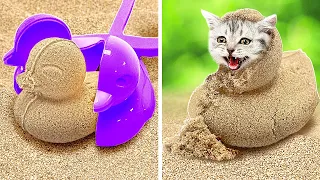 ¡Mira! ¡Encontramos un gato en la arena!🙀 ¡Los mejores trucos para dueños de mascotas!