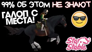 Как делать САМЫЙ БЫСТРЫЙ СТАРТ?! Галоп с места 😎 - Star Stable