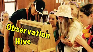 I bought an OBSERVATION HIVE | SAFE & FUN way to share BEES (Very Cool)