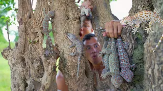 Primitive Technology: Find food Gecko ( Lizard ) In the forest - Cooking Gecko Form Food EP01