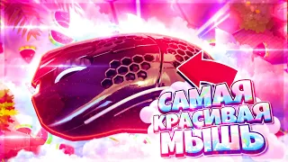 ЛУЧШАЯ МЫШЬ ДЛЯ ПВП! ОБЗОР GLORIOUS MODEL D! САМАЯ КРАСИВАЯ МЫШЬ!!!