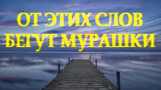 Хороший стих поможет в трудную минуту "Быть может времена уже не те" Геннадий Эсса / Леонид Юдин