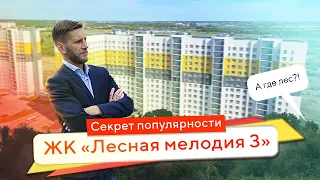 Секреты популярности ЖК «Лесная мелодия 3» от Тверского ДСК. Полный обзор