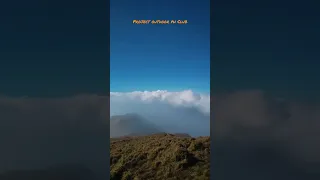 Mt. Pulag sea of clouds #shorts #mtpulag #philippines #morefuninthephilippines #hiking #travelvideo