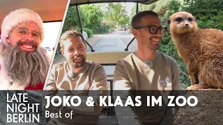 Joko & Klaas drehen eine Reportage im Zoo | Best of | Late Night Berlin