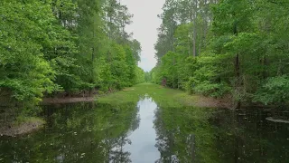 Big Thicket 2024