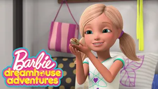 Семья года | Barbie Dreamhouse Adventures | @BarbieRussia 3+