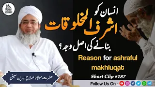 Insan Ko Ashraful Makhluqat Banane Ki Wajah Kya He | Maulana Salahuddin Saifi Naqshbandi