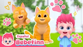 Gatito🐱, Nuevo Miembro de la Familia Bebefinn | La Canción del Gato | Bebefinn Canciones Infantiles