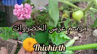 روتين في حديقة المنزل معا لغرس الخضروات🍆🌶️🌽🍅🥒.غير طاقة اجابية مع القبائلية ♓🇩🇿 thivhirth