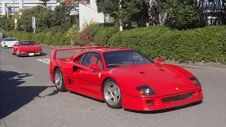 【大黒PA】スーパーカー加速サウンド‼️F40, 296GTB, カウンタック, ウラカン, アヴェンタドール, GT3, 355, 348, ディアブロ, ムルシエラゴなど‼️