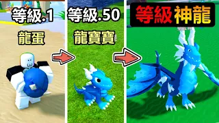 【Dragon Fire Beta】Hatch Dragon Egg 🥚 to Dragon God 🐉