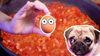 Eggs with tomatoes - a dream for breakfast. Pug - Goose.