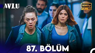 Avlu 87. Bölüm (FULL HD)