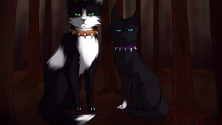 Warrior Cats- Bone and Scourge tribute