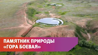 Памятник природы «Гора Боевая» в Оренбургской области