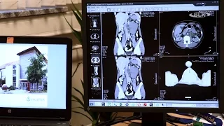 Hodenkrebs Dr  Hans Jörg Scholz Chefarzt Urologie Asklepios Klinik Weißenfels