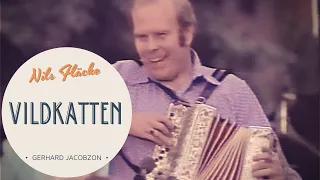 Accordion - Vildkatten - Nils Fläcke