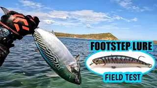 EP.115 Footstep Lure 9grams 7cm Field Test | Palawan fishing