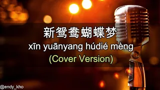 Xin yuan yang hu die meng - 新鸳鸯蝴蝶梦  (New Version Arrangement ] COVER - Endy Kho