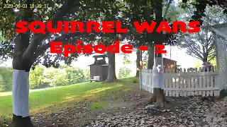 Squirrel Wars - Episode 2 - The Good Fight