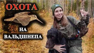 Охота на вальдшнепа осенью, девушка охотник / Woodcock hunting, girl hunter