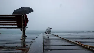 Sydney breaks 59 year rainfall record