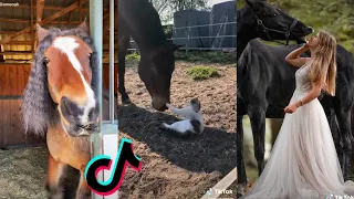 Satisfying Equestrian TikTok Compilation 2022 #44