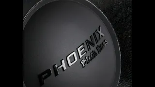 Флекс от  DL Audio Phoenix Black Bass 15