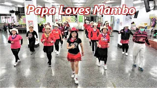 Papa Loves Mambo│Ultra Beginner Line Dance║爸爸愛曼波│初初級排舞│4K