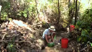 Where To Look For Gold #7 - Gold Mining in a Small Creek