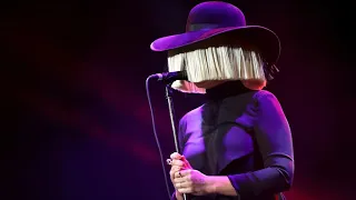 SIA НАПИСАЛА ВСЕ ЭТИ ХИТЫ ?