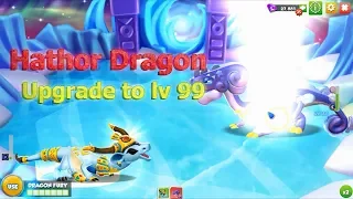 #DML [HATHOR] Upgrade the Best Dragon to level 99 - Dragon Mania Legends