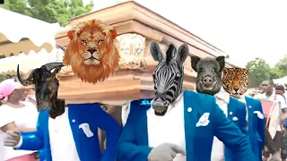 Coffin Dance Meme - WILD ANIMALS Meme Compilation