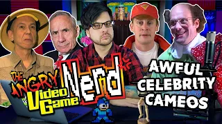 Angry Video Game Nerd "Celebrity Cameo" Episodes Always Sucked